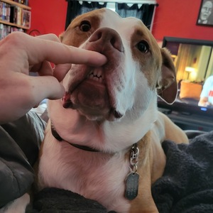 Fundraising Page: Jordan Griffin